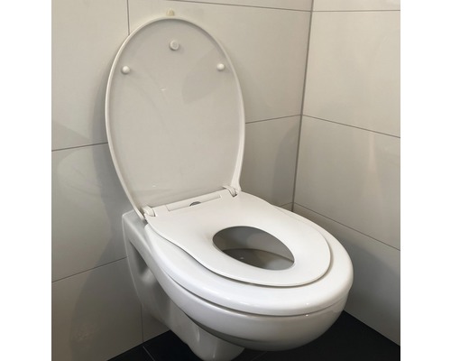 Vägghängd toalett med öppet toalettlock