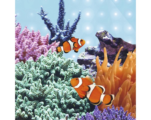 Akvarium med clownfiskar och korallrevsdekoration