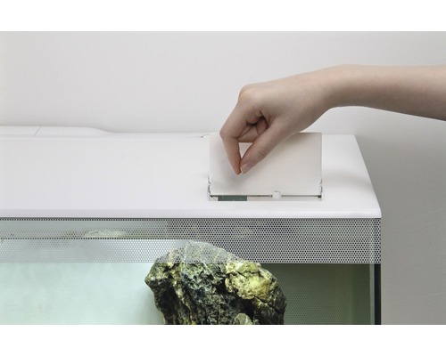 En hand matar mat i ett akvarium