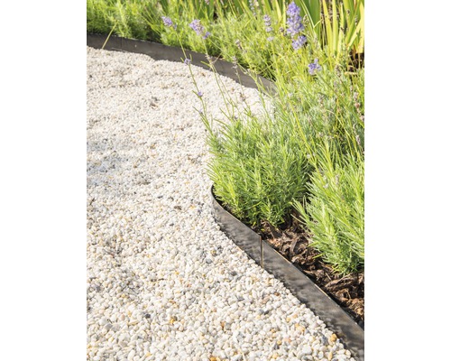 Trädgårdsscen med grusgång, gräskant och växter