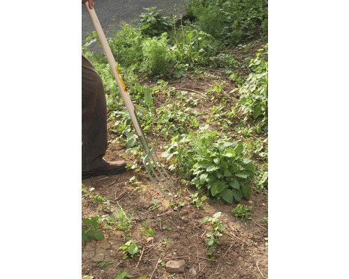 Trädgårdsmästare använder en spadgaffel i trädgården.