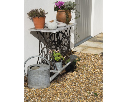 Dekorativ trädgårdsscen med vattenkanna och blomstertbord