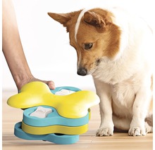 Hund tittar på interaktiv intelligensleksak