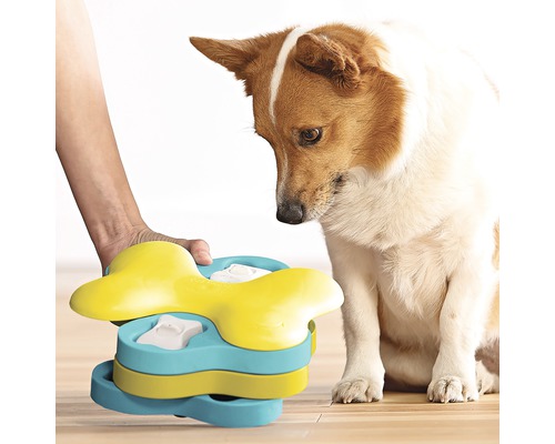 Hund tittar på interaktiv intelligensleksak