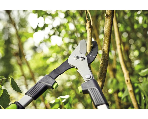 Grensåg klipper en gren i trädgården