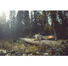 DeWalt motorsåg på en trädstam i skogen