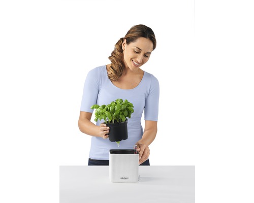 Kvinna planterar basilika i en Lechuza blomkruka med bevattningssystem