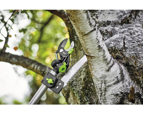 Grenkapare med såg som skär av en gren på ett träd