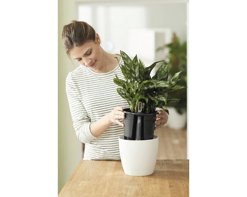 Kvinna placerar krukväxt i en vit blomkruka med bevattningssystem.
