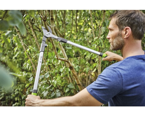 Man som beskär ett träd med en grensax.