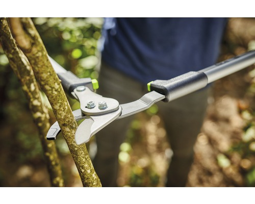 Grensåg klipper gren