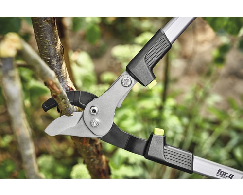 Trädgårdssax som klipper en gren