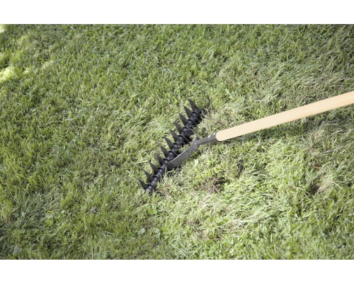 Gräsmattluftare i gräset