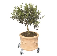Blomvagn WAGNER SunCity Basic stål 31x31/47x47cm 100kg