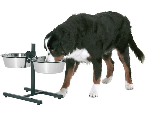 Hund äter ur en upphöjd hundmatskål med två skålar i rostfritt stål.