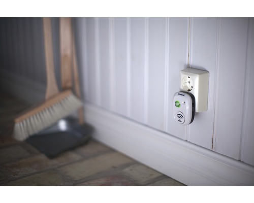 Skadedjursbekämpning med stickkontakt bredvid sopset