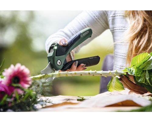 En person klipper en växtstängel med en batteridriven trädgårdssax.