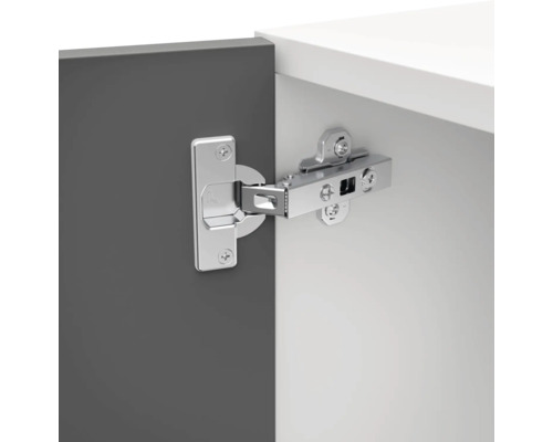 Gångjärn fäst på en möbeldörr