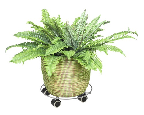 Korg med ormbunke och växthållare med hjul