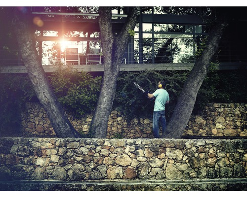 Man klipper häck med häcksax i trädgården