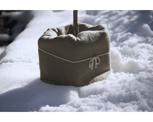 Planterat träd i jutesäck på snö