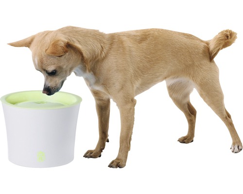 Hund dricker ur en dricksfontän för husdjur