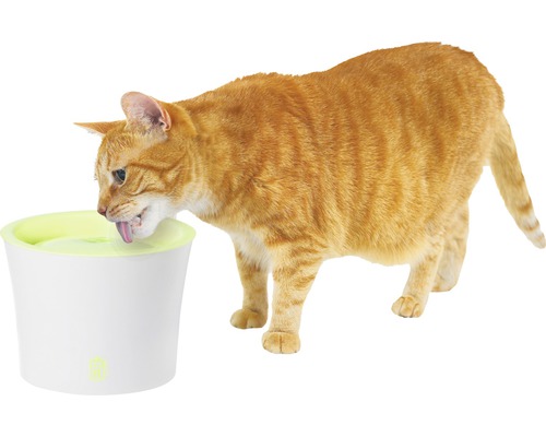 Katt dricker ur en dricksfontän för katter