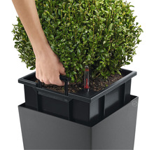 Självvattnade blomkruka LECHUZA Cubico 40 H 75cm röd inkl. substrat