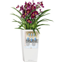 Självvattnade blomkruka LECHUZA Cubico 40 H 75cm röd inkl. substrat