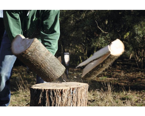 Vedklyv i aktion: En träbit klyvs med en yxa på ett huggblock.