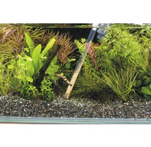 Akvarium med grus och växter
