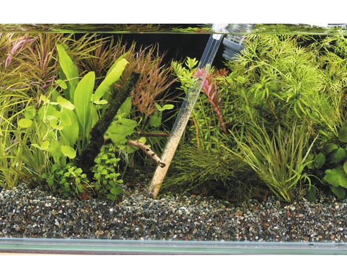 Akvarium med grus och växter