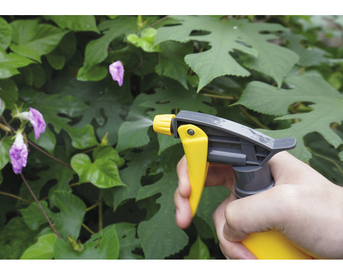 Sprayflaska används för växtvård