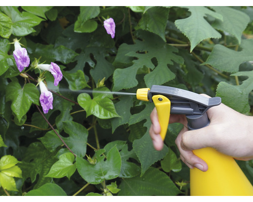 En person använder en sprayflaska för att spraya växter.