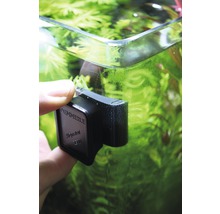Dennerle Alginator 2500 algmagnet fäst på ett akvarium