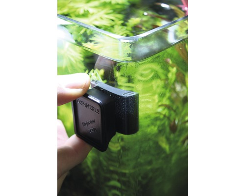 Dennerle Alginator 2500 algmagnet fäst på ett akvarium