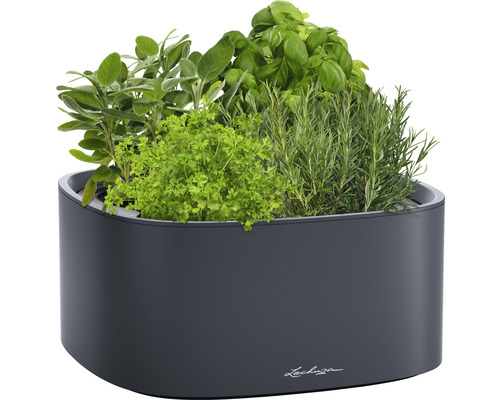 Örtagård i Lechuza planteringskärl med diverse örter som salvia, persilja, basilika och rosmarin.