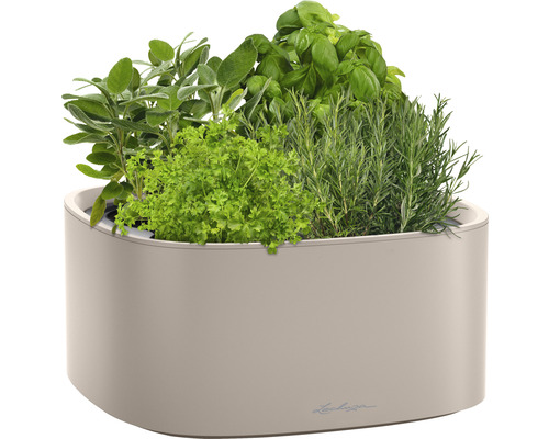 Kruka med basilika, rosmarin, persilja och salvia