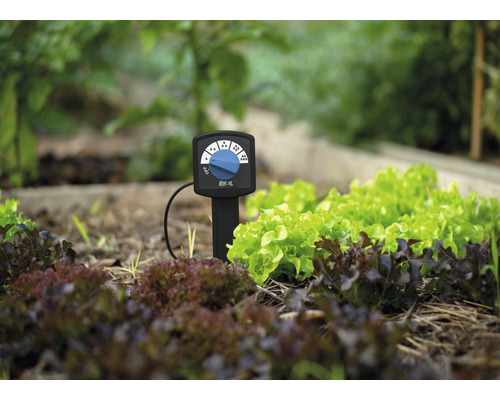 Bevattningsdator i trädgårdsrabatten för styrning av bevattningen.