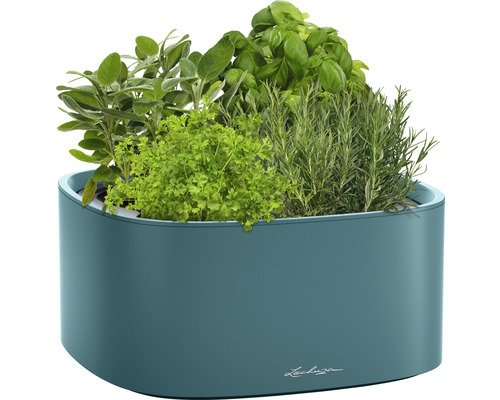 Blomlåda med örter som salvia, persilja, basilika och rosmarin