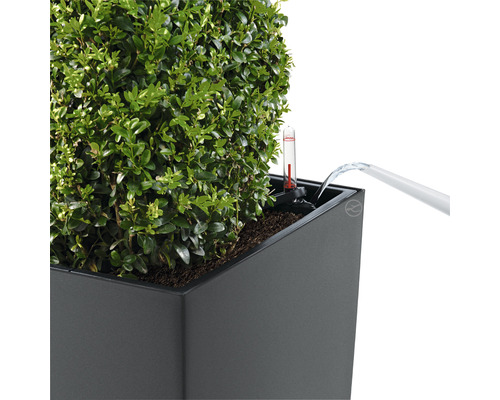 Vattning av en planterad blomlåda med vattennivåindikator.