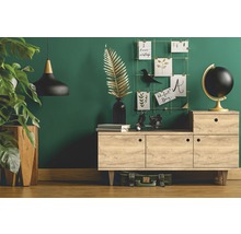 Dekorativt vardagsrumshörn med byrå, krukväxt och tillbehör framför en grön vägg