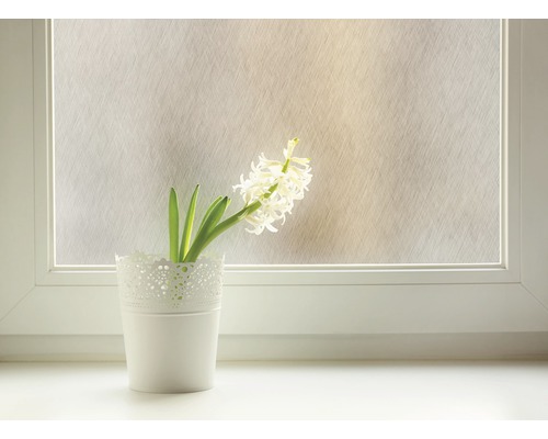 Dekorativ film med växt i kruka på fönsterbrädan