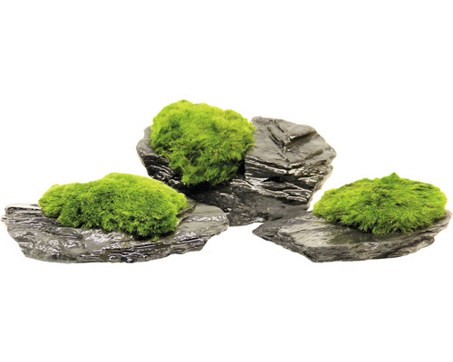Dekorativa stenar med mossa för akvarier