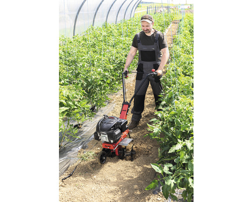 Man arbetar med en jordfräs i ett växthus.
