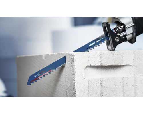  tigersåg skär i en sten