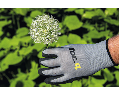 Trädgårdshandske med Alliumblomma