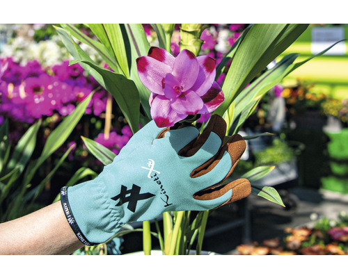 Hand med KinetiXx trädgårdshandske som håller en rosa blomma