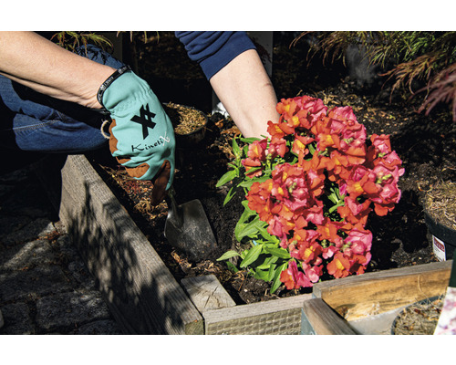 En person planterar en blomma i en upphöjd trädgård med handskar och en spade.
