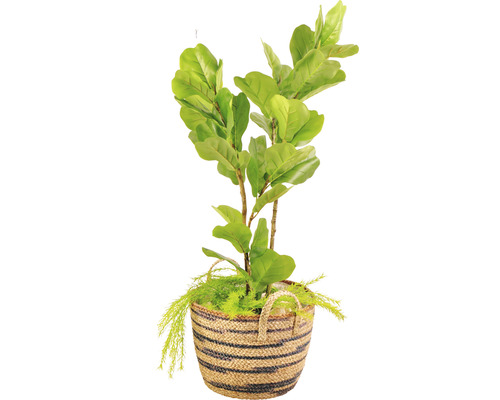 Konstgjord Ficus Lyrata i korg för inredning